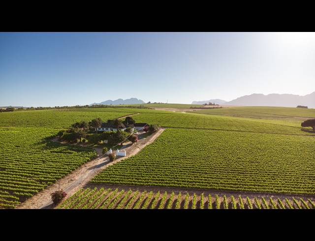 94HA FARM FOR SALE IN STELLENBOSCH FARMS
